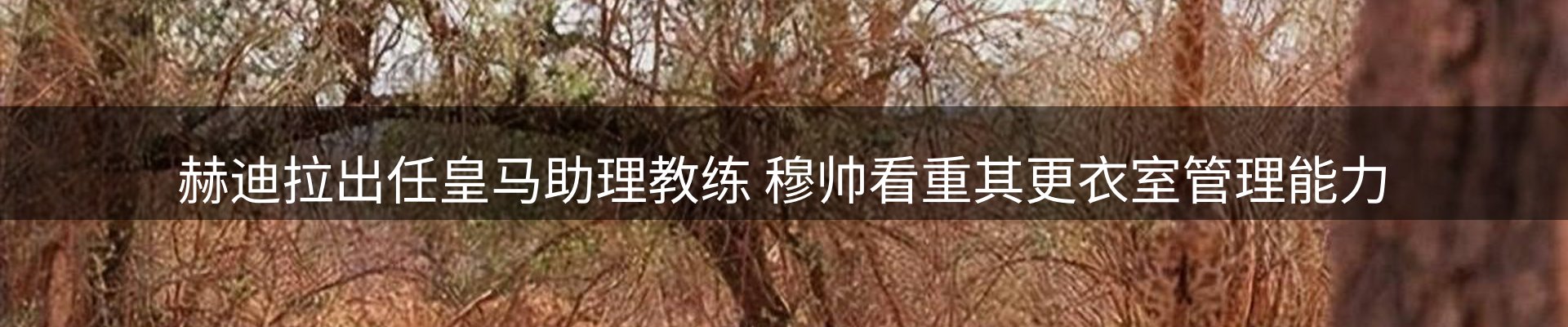 资讯动态